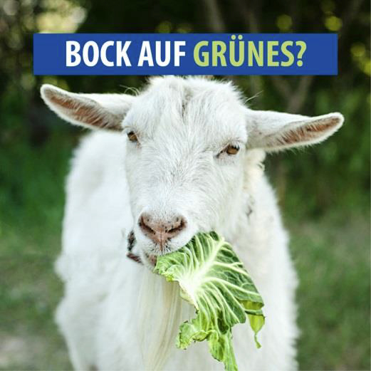 Bock auf Grünes? Bock auf Grünes?